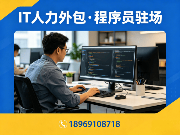 南京企业IT人力外包解决方案：C#程序员驻场开发的高效价值