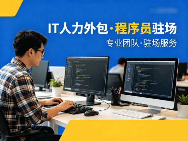 天津IT人力外包解决方案：程序员驻场开发如何破解企业用人难题？